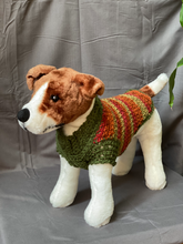 Load image into Gallery viewer, Fall Collection Dog Sweater