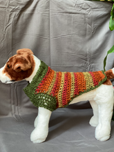 Load image into Gallery viewer, Fall Collection Dog Sweater
