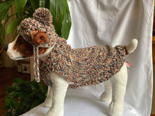 Load image into Gallery viewer, Cocoon Cardigan Dog Sweater and Hat