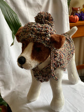 Load image into Gallery viewer, Cocoon Cardigan Dog Sweater and Hat