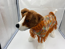 Load image into Gallery viewer, Pumpkin and Spice Dog Poncho/Sweater