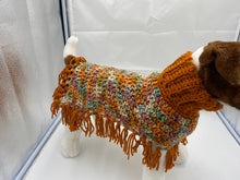 Load image into Gallery viewer, Pumpkin and Spice Dog Poncho/Sweater