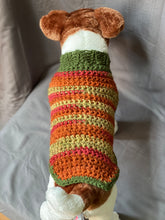 Load image into Gallery viewer, Fall Collection Dog Sweater
