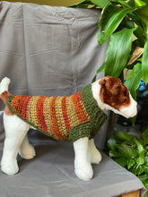 Load image into Gallery viewer, Fall Collection Dog Sweater