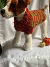 Load image into Gallery viewer, Fall Collection Sweater