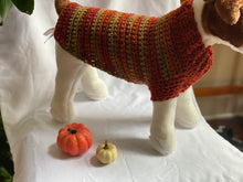 Load image into Gallery viewer, Fall Collection Sweater