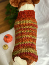 Load image into Gallery viewer, Fall Collection Sweater