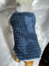 Load image into Gallery viewer, Extra Small Blue and White Sweater