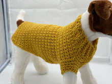 Load image into Gallery viewer, Beautiful Mustard Dog Sweater with Matching Poo Bag Holder