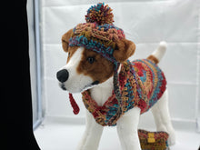 Load image into Gallery viewer, Cocoon Cardigan Sweater with Matching Hat and Poo Bag Holder