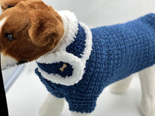Load image into Gallery viewer, Blue Dog Sweater with Matching Scarf