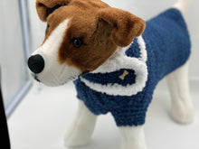 Load image into Gallery viewer, Blue Dog Sweater with Matching Scarf
