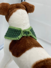 Load image into Gallery viewer, St Patrick’s Day Shamrock Dog Collar/Scarf