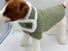 Load image into Gallery viewer, Green Dog Sweater with Matching Scarf