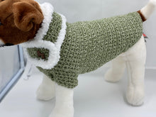 Load image into Gallery viewer, Green Dog Sweater with Matching Scarf
