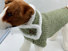 Load image into Gallery viewer, Green Dog Sweater with Matching Scarf