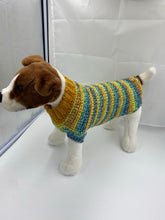 Load image into Gallery viewer, Fall Harvest Dog Sweater