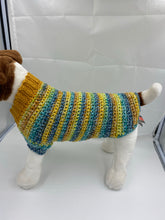 Load image into Gallery viewer, Fall Harvest Dog Sweater