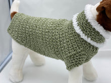 Load image into Gallery viewer, Green Dog Sweater with Matching Scarf