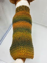 Load image into Gallery viewer, Autumn Leaves Dog Sweater