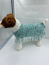 Load image into Gallery viewer, Water and Ice Dog Poncho