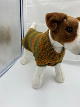 Load image into Gallery viewer, Autumn Leaves Dog Sweater