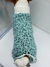 Load image into Gallery viewer, Water and Ice Dog Poncho