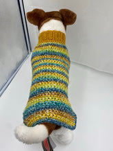 Load image into Gallery viewer, Fall Harvest Dog Sweater