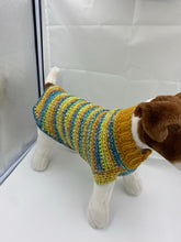 Load image into Gallery viewer, Fall Harvest Dog Sweater
