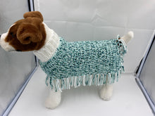 Load image into Gallery viewer, Water and Ice Dog Poncho