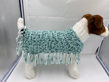 Load image into Gallery viewer, Water and Ice Dog Poncho