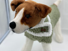 Load image into Gallery viewer, Green Dog Sweater with Matching Scarf