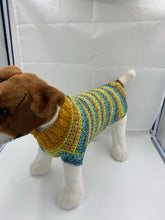 Load image into Gallery viewer, Fall Harvest Dog Sweater
