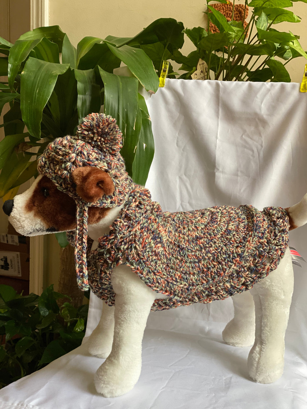 Cocoon Cardigan Dog Sweater and Hat