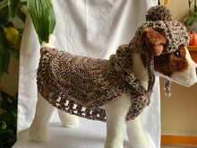 Load image into Gallery viewer, Cocoon Cardigan Dog Sweater and Hat

