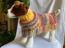 Load image into Gallery viewer, Blue and Red Dog Poncho/Sweater
