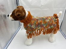 Load image into Gallery viewer, Pumpkin and Spice Dog Poncho/Sweater

