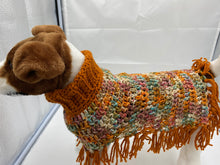 Load image into Gallery viewer, Pumpkin and Spice Dog Poncho/Sweater
