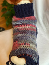 Load image into Gallery viewer, Blue and Red Dog Poncho/Sweater
