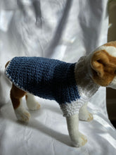 Load image into Gallery viewer, Extra Small Blue and White Sweater
