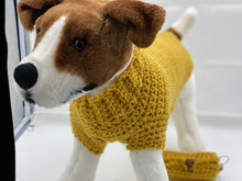 Load image into Gallery viewer, Beautiful Mustard Dog Sweater with Matching Poo Bag Holder
