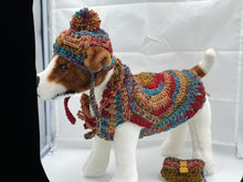 Load image into Gallery viewer, Cocoon Cardigan Sweater with Matching Hat and Poo Bag Holder
