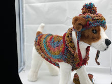 Load image into Gallery viewer, Cocoon Cardigan Sweater with Matching Hat and Poo Bag Holder
