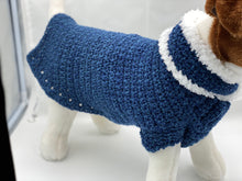 Load image into Gallery viewer, Blue Dog Sweater with Matching Scarf
