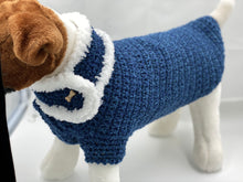 Load image into Gallery viewer, Blue Dog Sweater with Matching Scarf
