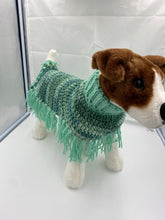 Load image into Gallery viewer, Mint Green Dog Poncho
