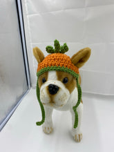 Load image into Gallery viewer, Fall Pumpkin Dog Hat
