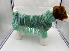 Load image into Gallery viewer, Mint Green Dog Poncho
