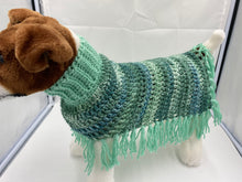 Load image into Gallery viewer, Mint Green Dog Poncho

