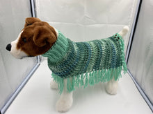 Load image into Gallery viewer, Mint Green Dog Poncho
